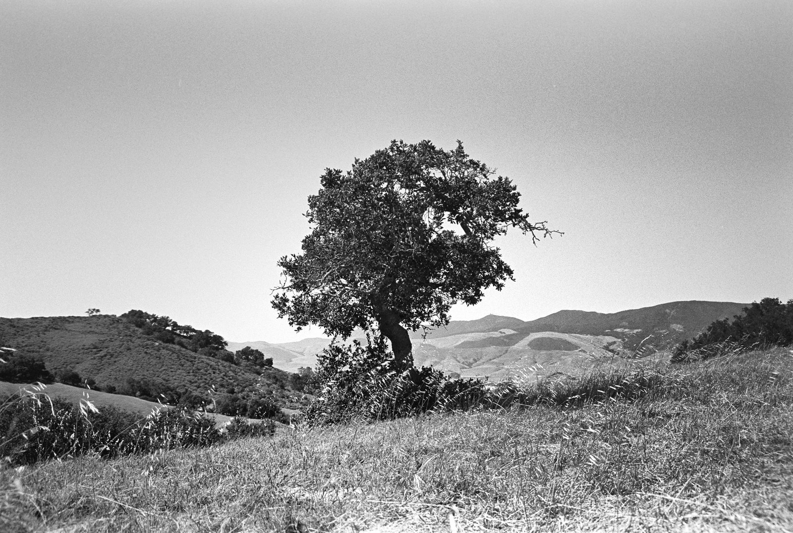 Just Us, black and white photograph by Corinna Frankel