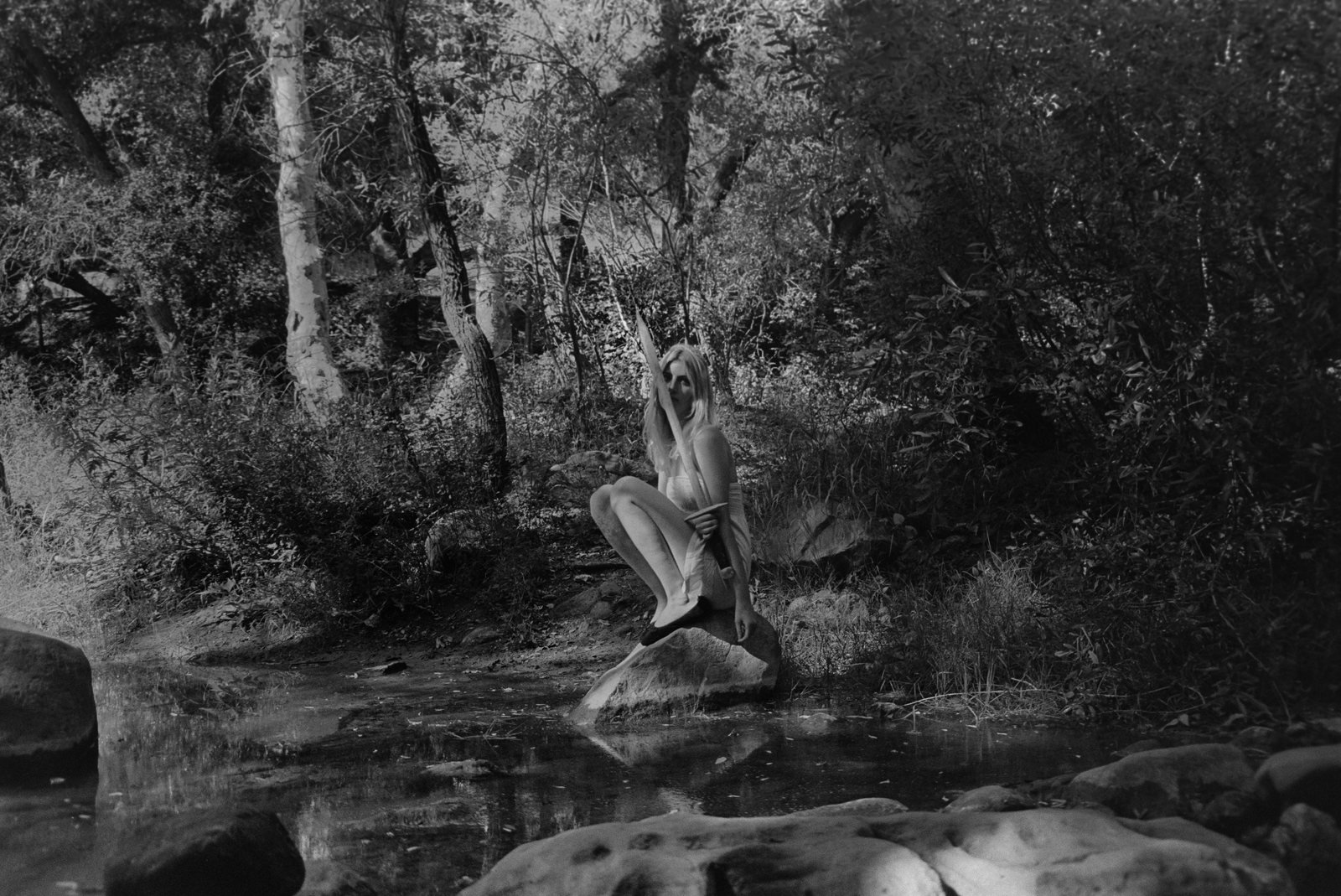 Armed Creek, black and white photograph by Corinna Frankel
