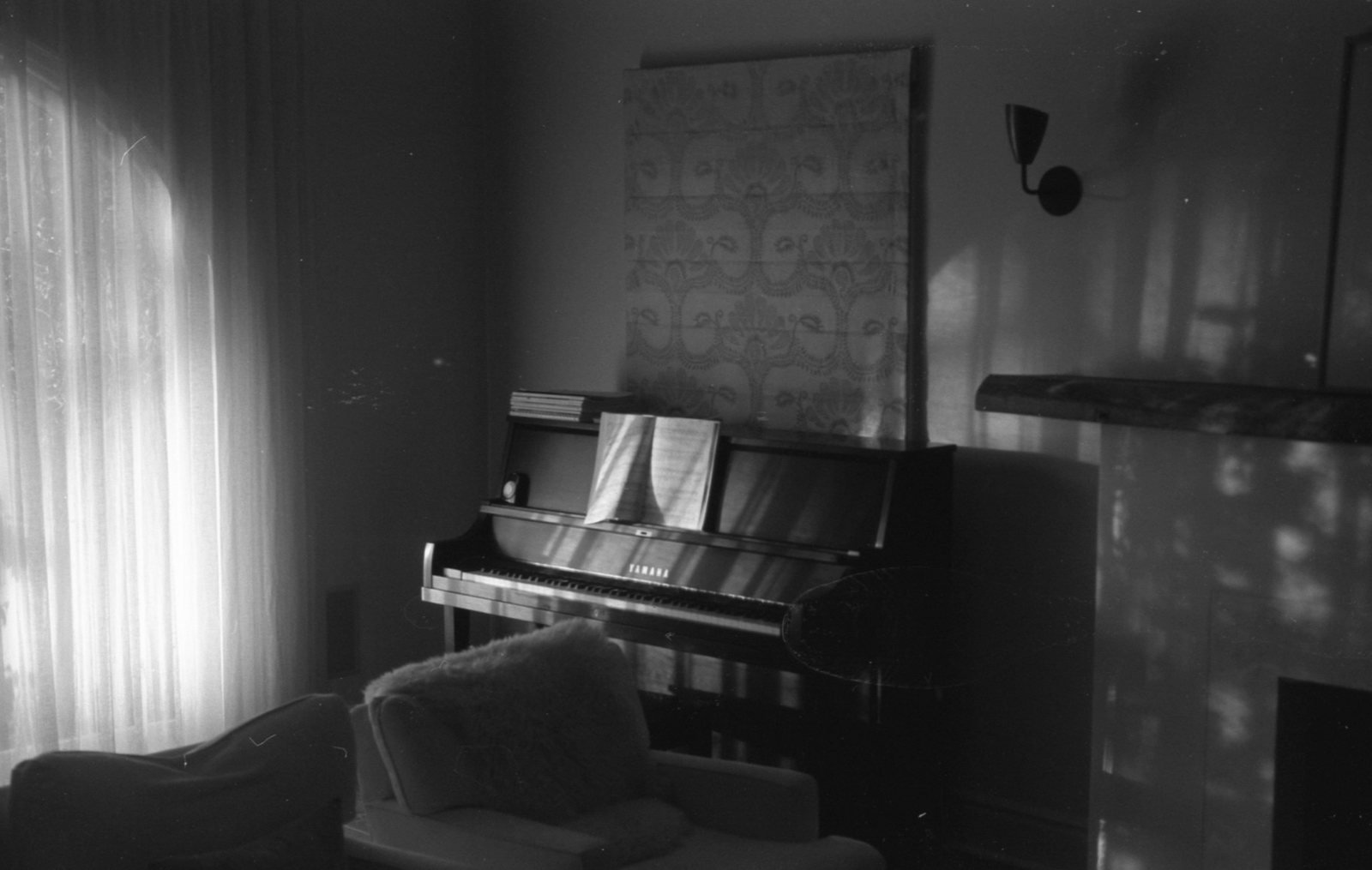 Sonny, black and white photograph by Corinna Frankel