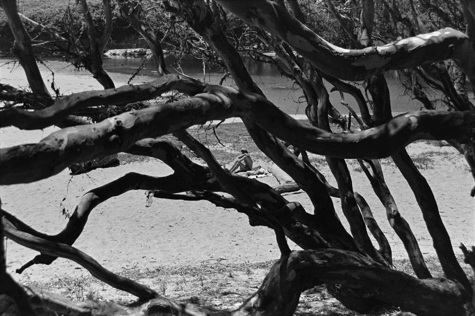Cruz, black and white photograph by Corinna Frankel